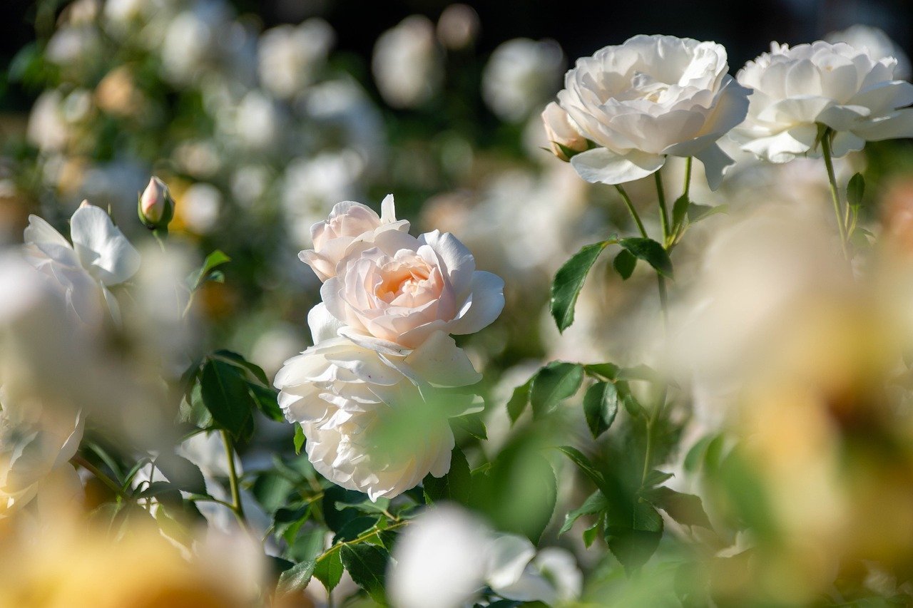 7 Mind-Blowing Train Journeys in Asia for an Epic Adventure