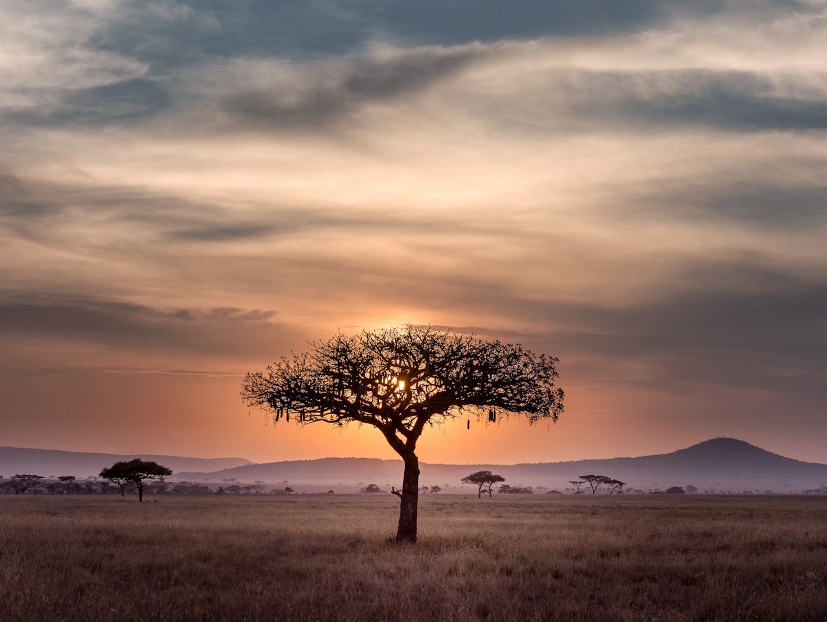 Common Travel Mistakes to Avoid in South Africa
