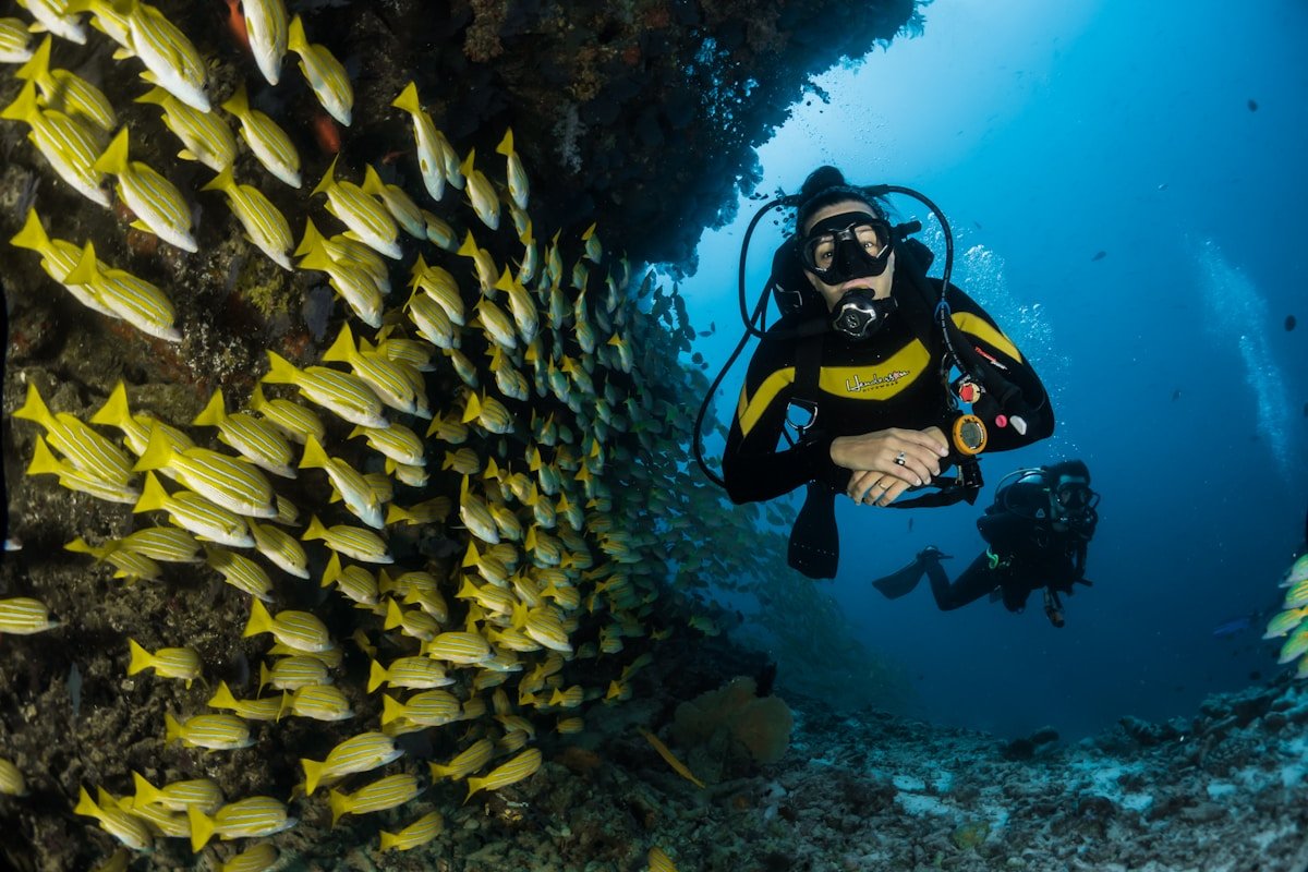 Free Things to Do in Major South African Cities