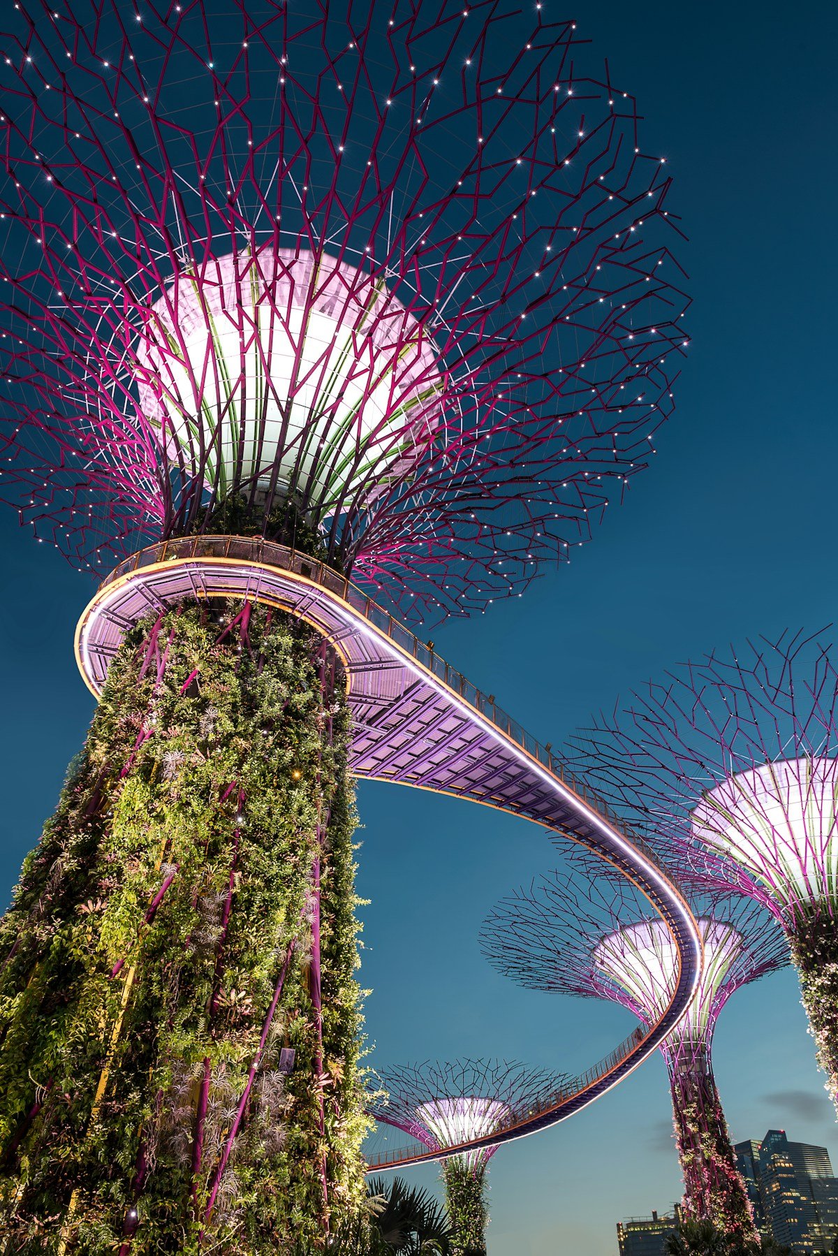 Hidden Nature Reserves Worth Visiting